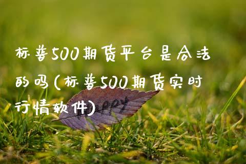 标普500期货平台是的吗(标普500期货实时行情软件)