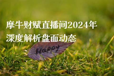 摩牛财赋直播间2024年深度解析盘面动态