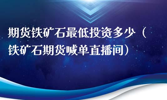 期货铁矿石最低投资多少（铁矿石期货喊单直播间）