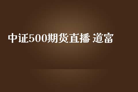 中证500期货直播 道富