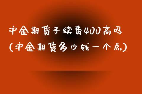 沪金期货手续费400高吗(沪金期货多少钱一个点)