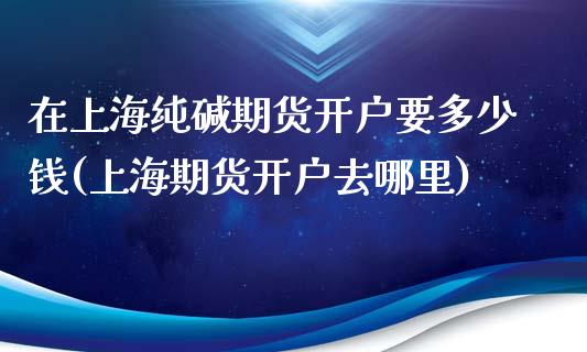 在上海纯碱期货开户要多少钱(上海期货开户去哪里)