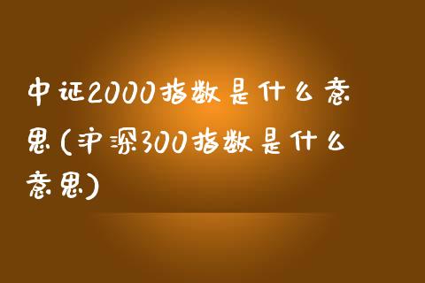 中证2000指数是什么意思(沪深300指数是什么意思)