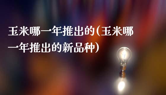 玉米哪一年推出的(玉米哪一年推出的新品种)