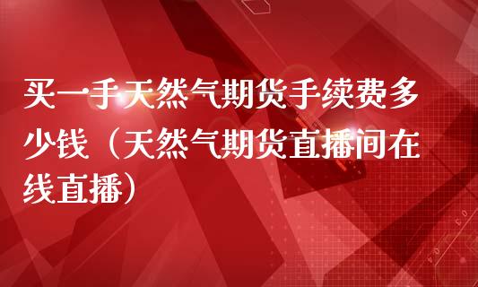 买一手天然气期货手续费多少钱（天然气期货直播间在线直播）