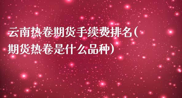 云南热卷期货手续费排名(期货热卷是什么品种)