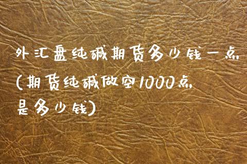 外汇盘纯碱期货多少钱一点(期货纯碱做空1000点是多少钱)