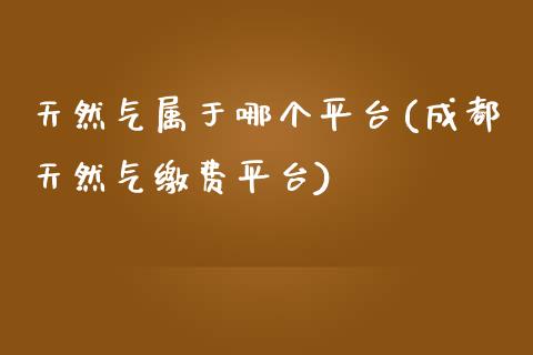 天然气属于哪个平台(成都天然气缴费平台)