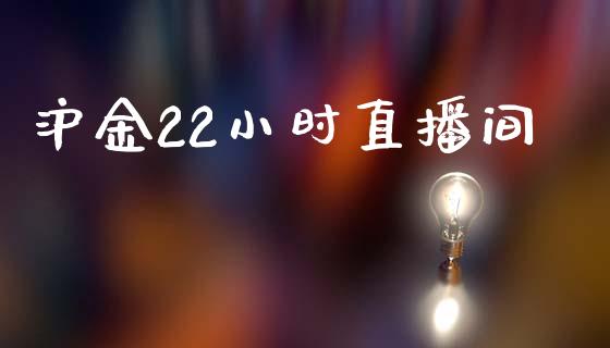 沪金22小时直播间