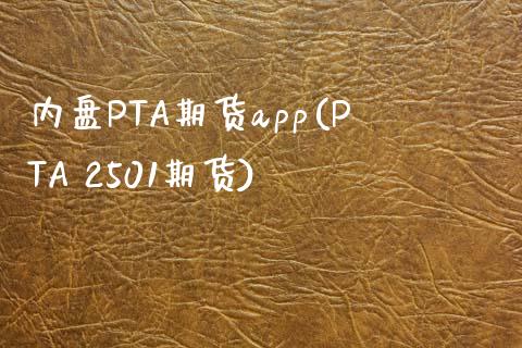 内盘PTA期货(PTA 2501期货)