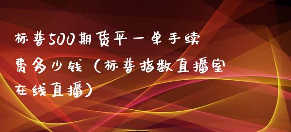 标普500期货平一单手续费多少钱（标普指数直播室在线直播）