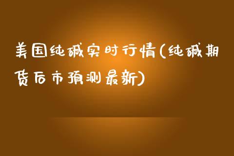 美国纯碱实时行情(纯碱期货后市预测最新)