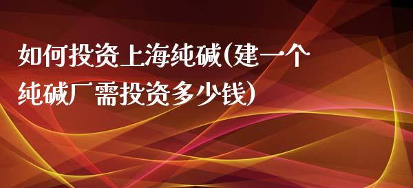 如何投资上海纯碱(建一个纯碱厂需投资多少钱)