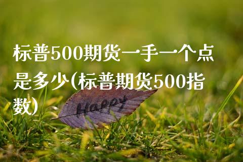 标普500期货一手一个点是多少(标普期货500指数)