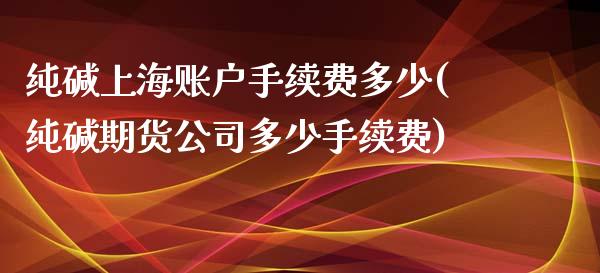 纯碱上海账户手续费多少(纯碱期货公司多少手续费)